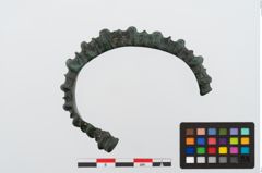 Foto von Bronzearmreif (NHMW-PRAE-024456)